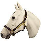 Horse Fare Leather Halter with Solid Brass Hardware & Customized Nameplate- Made in The USA - color: Dark Brown, size: Pony