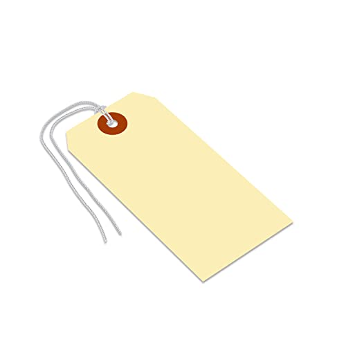 SmartSign Blank Shipping Tags with Pre-Attached Loop Strings, Size-5, Pack of 1000, 10pt Thick Manila Cardstock Tag, 4.75 x 2.375 inch Paper Hang Tags with Reinforced Fiber Patch - size: 4 3/4" x 2 3/8", style: Loop Strings - 1000 Tags