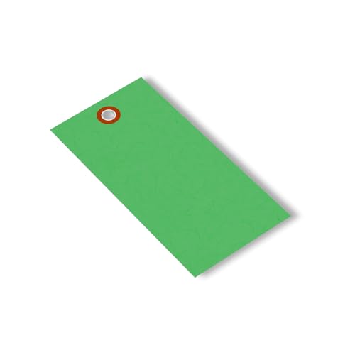SmartSign (Pack of 1000) 4.75 x 2.375 inch “Green” Blank Tyvek Shipping Tags with Metal Eyelets, Size #5, 8 mil Thick Tyvek - color: Green - No Attachment, size: 4 3/4" x 2 3/8" - 1000 Tags