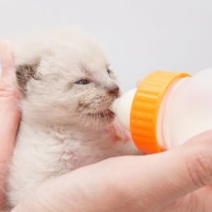 15 Pcs Pet Feeding Bottle Nipple, Baby Cat Milk Nipples Dog Silicone Nipple Feeding Nursing Bottle Nipple for Dog Puppy Cat Kitten