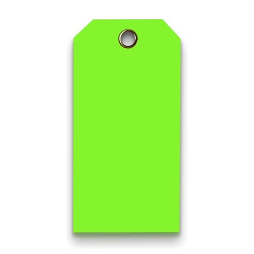 Tags 4 Less 15 Mil Waterproof Plastic Tags, Pack of 100 – 3” x 6” Heavy Duty Plastic Tags for Labeling, Outdoor Tagging, Equipment Labeling, Luggage, Valves & More (Fluorescent Green) - color: Fluorescent Green, size: 3" x 6"