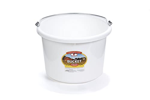 Little Giant® Plastic Animal Feed Bucket | Round Plastic Feed Bucket with Metal Handle | Made in USA | 8 Quarts | White - color: White
