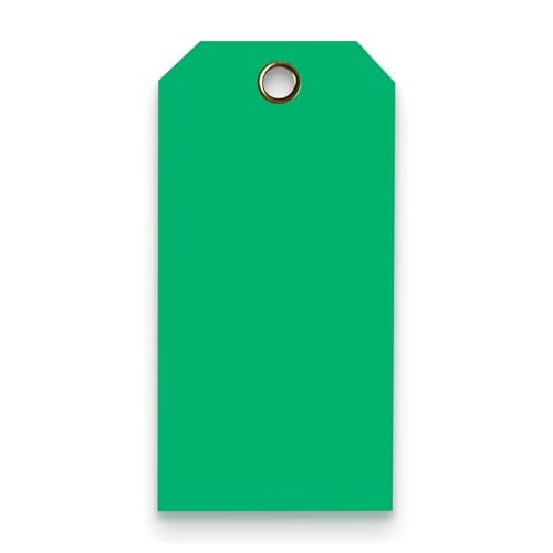 Tags 4 Less 15 Mil Waterproof Plastic Tags, Pack of 100 – 2” x 4” Heavy Duty Plastic Tags for Labeling, Outdoor Tagging, Equipment Labeling, Luggage, Valves & More (Dark Green) - color: Dark Green, size: 2" x 4"