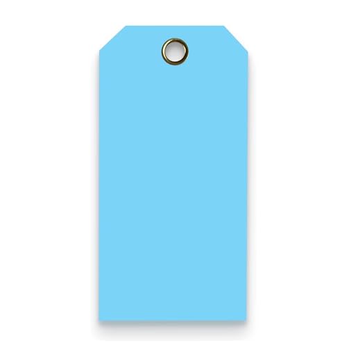 Tags 4 Less 15 Mil Waterproof Plastic Tags, Pack of 100 – 3” x 6” Heavy Duty Plastic Tags for Labeling, Outdoor Tagging, Equipment Labeling, Luggage, Valves & More (Light Blue) - color: Light Blue, size: 3" x 6"
