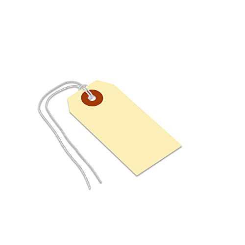 SmartSign Blank Shipping Tags with Pre-attached Loop Strings, Size-2, Pack of 1000, 10pt thick Manila Cardstock Tag, 3.25 x 1.625 inch Paper Hang Tags with Reinforced Fiber Patch - size: 3 1/4" x 1 5/8", style: Loop Strings - 1000 Tags