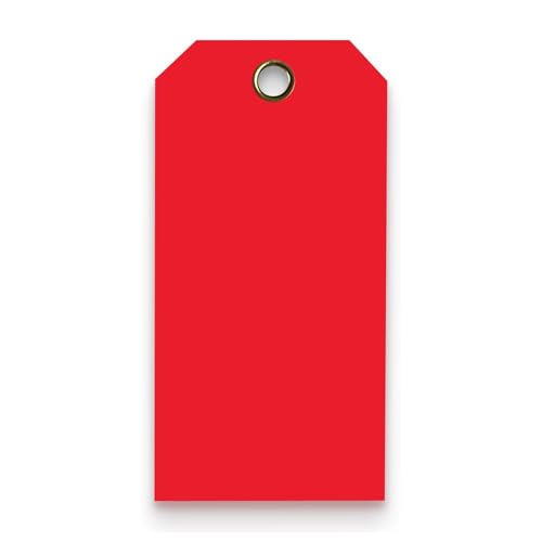 Tags 4 Less 15 Mil Waterproof Plastic Tags, Pack of 100 – 2” x 4” Heavy Duty Plastic Tags for Labeling, Outdoor Tagging, Equipment Labeling, Luggage, Valves & More (Red) - color: Red, size: 2" x 4"