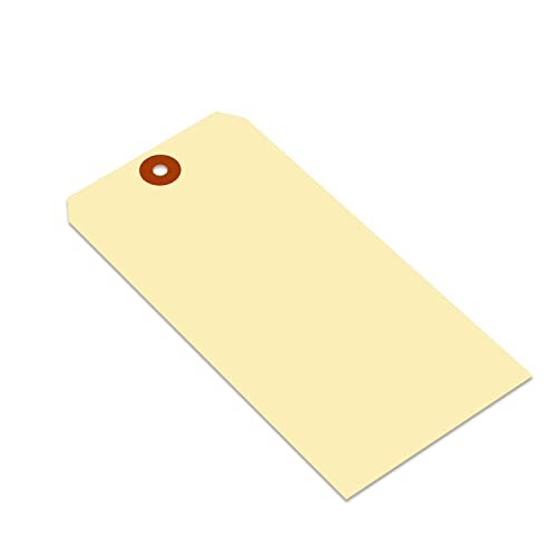 SmartSign Blank Manila Shipping Tags - Pack of 100, Size-10, 15pt Thick Cardstock Tag, 7.25 x 3.625 inch Paper Hang Tags with Reinforced Fiber Patch (No Attachment) - size: 7 1/4" x 3 5/8", style: No Attachment - 100 Tags