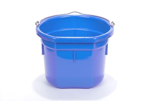 Little Giant® Flat Back Plastic Animal Feed Bucket | Animal Water and Feed Bucket with Metal Handle | 8 Quarts | Blue - color: Blue