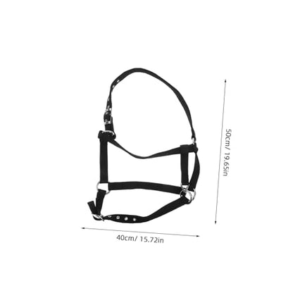 Kisangel Comfortable Padded Horse Halter and Rope for Equestrian Training Adjustable and Breakaway Equestrian Training