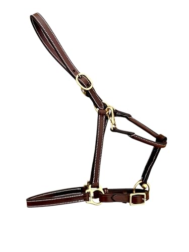 Leaders Handmade Leather Horse Halter - Heavy Duty Everyday Turnout Halter, 3/4" Wide Naturally Vegetable Tanned Leather, Solid Brass Hardware, Hand & Machine Stitched - size: Cob