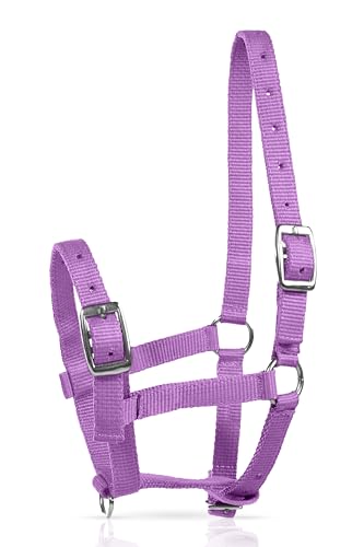 HORZE Adjustable Mini Horse Halter, Nylon Design for Foals, Colts, Fillies | Durable Miniature Horse Foal Halter for Horses, Suitable for Pony, Yearling and Weanling Sizes, Comfortable Fit for Training - color: Purple
