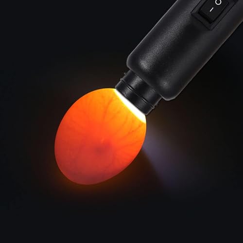 Dual Power Egg Candler, High Intensity LED Egg Candler Tester, Cool Light for All Egg Types Chicken Duck Quail Goose Battery Mains Powered Includes 2 Size Adapters (Egg Candler Light + AC Adapter)