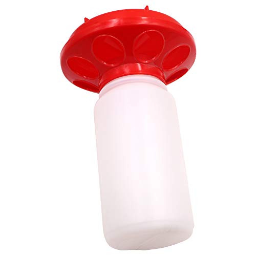 Automatic Poultry Feeder Small, Waste Free Chicken Feeder Jar, Baby Chick Feeder for Birds Pigeon Quail 1 Quart (Red and White)