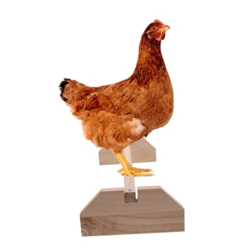 Happyyami Wooden Chick Perch Stand for Chickens and Birds Durable Natural Wood Roosting Bar Comfortable Perch for Brooder Coop and Farm Use