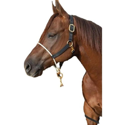 Professional's Choice Sports Medicine Products, INC. Nylon Halter Rope Nose - size: Average