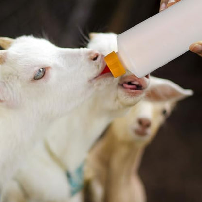 Levemolo 2sets Replaceable Lamb Nursing Bottles Milk Feeder for Newborn Lambs Goats Calves Easy to Clean and Use for Farm Livestock Feeding Supplies
