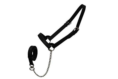 Derby Originals Premium Fancy Stitch Flat Leather Cattle Show Halter – Adjustable Fit with 48" Lead and 14" Chain, Small/Medium/Large – 1-Year Warranty - color: Havana, size: Medium (650-1050lbs)
