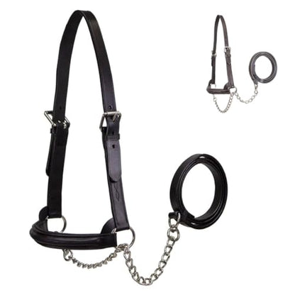 Derby Originals Premium Raised Padded Fancy Stitch Leather Cattle Show Halter with Matching Chain Lead - color: Black, size: Large (950lbs-1500lbs)
