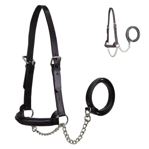 Derby Originals Premium Raised Padded Fancy Stitch Leather Cattle Show Halter with Matching Chain Lead - color: Havana, size: Small (350-700lbs)