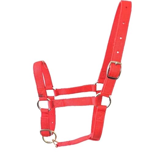 Cattle Halter Horse Equitation Padded Halter Bridle Comfortable Firm and Deformable Rein Equestrian Adjustable Head(Red L) - color: Red L
