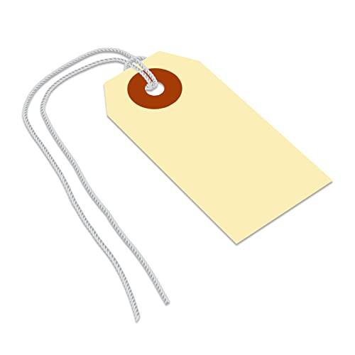 SmartSign Blank Shipping Tags with Pre-Attached Loop Strings, Size-1, Pack of 1000, 10pt Thick Manila Cardstock Tag, 1.375" x 2.75" Paper Hang Tags with Reinforced Fiber Patch - size: 2 3/4" x 1 3/8", style: Loop Strings - 1000 Tags