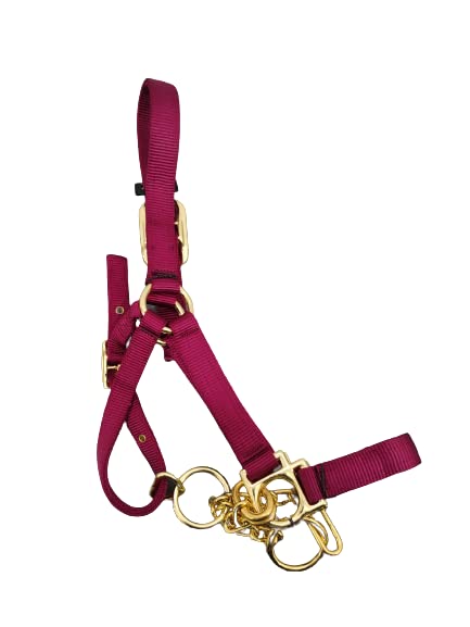 Heavy Duty Nylon Yearling Cow Halter with Control Chain - size: Lime Green