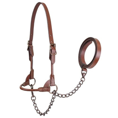 Derby Originals Bronze Beauty Premium Round Rolled Leather Cattle Show Halter with Matching Chain Lead - color: Chestnut, size: Small