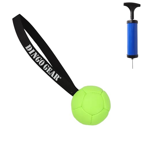 Dingo Gear Dog Ball and Pump Set, Faux Leather, Green 3in - color: Green Ball+Pump, size: 3"