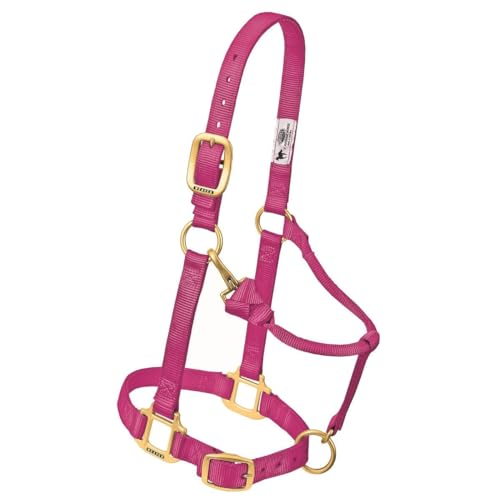 Weaver Leather Original Adjustable Chin and Throat Snap Halter, 1" Average Horse,Graphite
