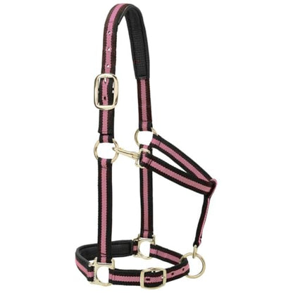 Weaver Leather Nylon Horse Halter, Padded and Adjustable, Chin and Throat Snap Hook Halters for Horses, Brass Plated Halters for Training