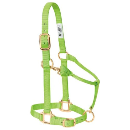 Weaver Leather Original Adjustable Chin and Throat Snap Halter, 1" Average Horse,Graphite