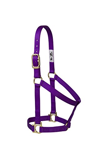 Weaver Leather Basic Non-Adjustable Nylon Horse Halter - color: Purple, size: 1" Large Horse