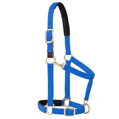 Weaver Equine Breakaway Horse Halter, Comfort Foam Padding, Adjustable Chin & Throat Snap Halters for Horses, Equine Tack,Average Size, Purple