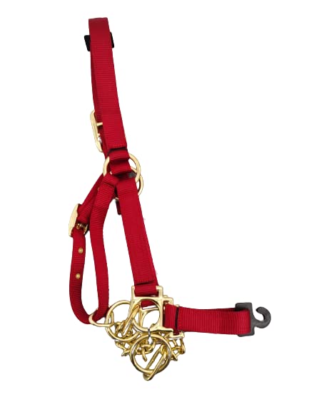 Heavy Duty Nylon Yearling Cow Halter with Control Chain - size: Burgundy