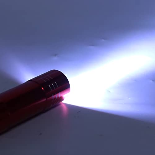 LED Egg Candler Tester High Brightness Cool Light for Poultry Birds (Red) - color: Red