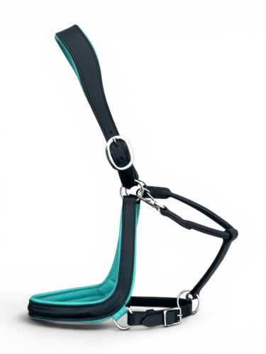 Leaders Padded Curved Leather Halter with Customized Engraved Name Plate Ergonomic Leather Halter for Horses - size: Black/Turquoise