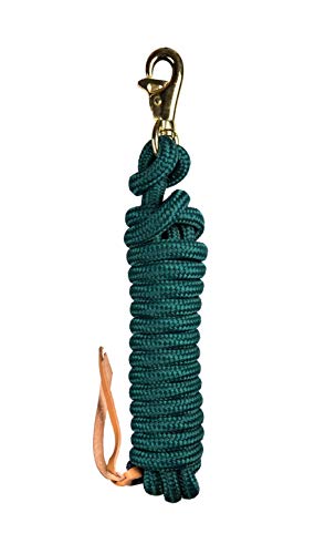 Kensington Ballistic Nylon Clinician Training Lead - 15" ft Training Lead - Tear-Resistant, with Metal Hardware to Keep Lead Fastened - Heavy Duty Braided Lead with Quick Swivel Snap - color: A - Hunter, size: 15'
