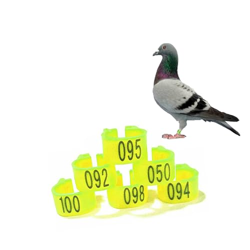 Gerrit 10mm Numbered Plastic Letter Bird Leg Band Quail Chick Plastic Marker Poultry（10colors） 001-100 Light Yellow - color: Light Yellow, size: 001-100