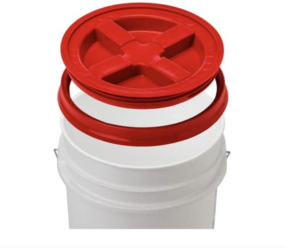 House Naturals 5 Gallon Pink Food Grade BPA Free Made in USA Bucket Pail with Screw On Airtight Scarlet Red lid (Pack of 3)