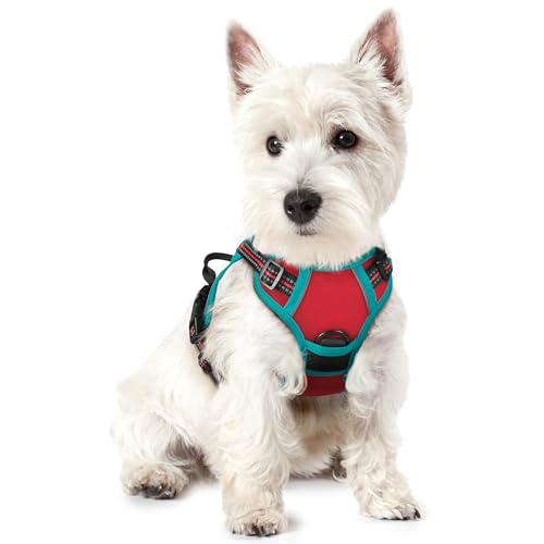 rabbitgoo Dog Harness No Pull with 2 Leash Clips, Adjustable Soft Padded, Reflective Oxford No Choke Pet Vest with Easy Control Handle for Puppy, Red & Teal, XS - color: Red & Teal, size: X-Small