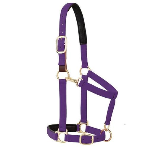 Weaver Equine Breakaway Horse Halter, Comfort Foam Padding, Adjustable Chin & Throat Snap Halters for Horses, Equine Tack,Average Size - color: Purple