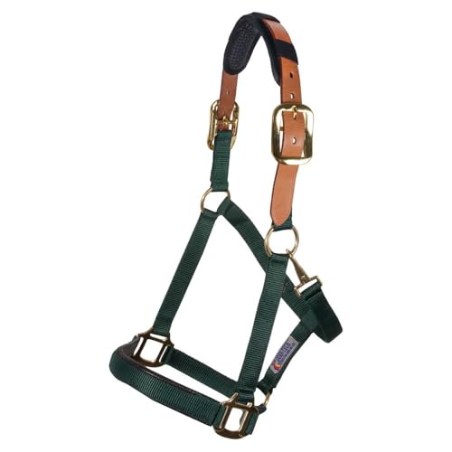Schneiders Dura-Tech Comfort Plus Nylon Breakaway Halter for Horses | Padded Nose & Crown | Breakaway Leather Crown | Throat Snap | Adjustable Fit for All-Day Comfort - color: Green, size: Cob