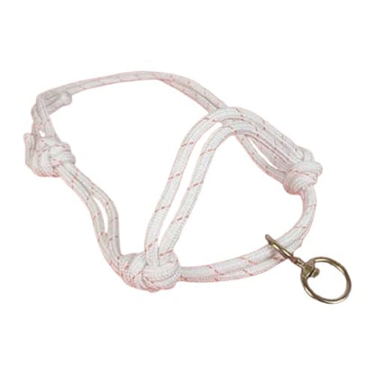 Cattle Traction Halter Bull Bridle Adjustable Cow Halter Livestock Equipment Lightweight Design with Nylon Structure for Farm Use Suitable - size: Small