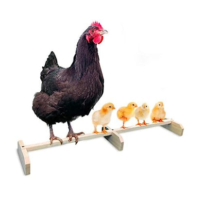 Balacoo Wooden Chicken Perch Roosting Bar Natural Bird Stand for Hens and Medium to Large Birds Safe Parrot Pet Coop Accessory for Secure Off Ground Resting