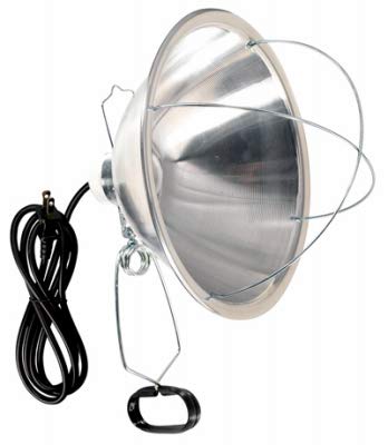 300 Watt Clamp On Brooder Light with Reflector - Pack of (3)