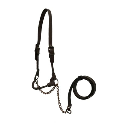 Derby Originals Bronze Beauty Premium Round Rolled Leather Cattle Show Halter with Matching Chain Lead - color: Chestnut, size: Large (950lbs-1500lbs)