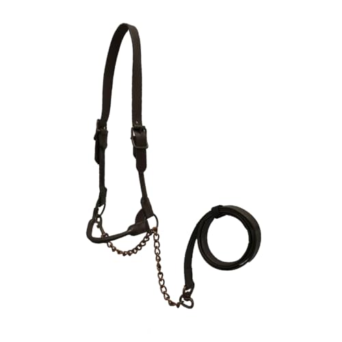 Derby Originals Bronze Beauty Premium Round Rolled Leather Cattle Show Halter with Matching Chain Lead - color: Black, size: Medium (650-1050lbs)