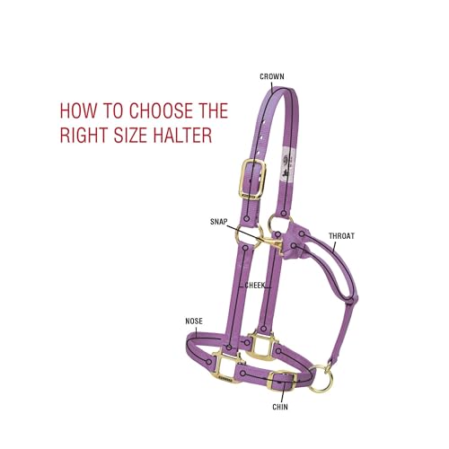 Weaver Leather Original Non-Adjustable Nylon Horse Halter, Small, Black