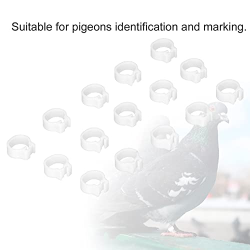 Chicken Leg Bands 100PCS 8mm Poultry Leg Rings Chicken Leg Rings Quail Leg Bands Bird Identification Leg Bands Poultry Leg Rings (White) - color: White