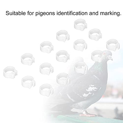 Chicken Leg Bands 100PCS 8mm Poultry Leg Rings Chicken Leg Rings Quail Leg Bands Bird Identification Leg Bands Poultry Leg Rings (White) - color: White